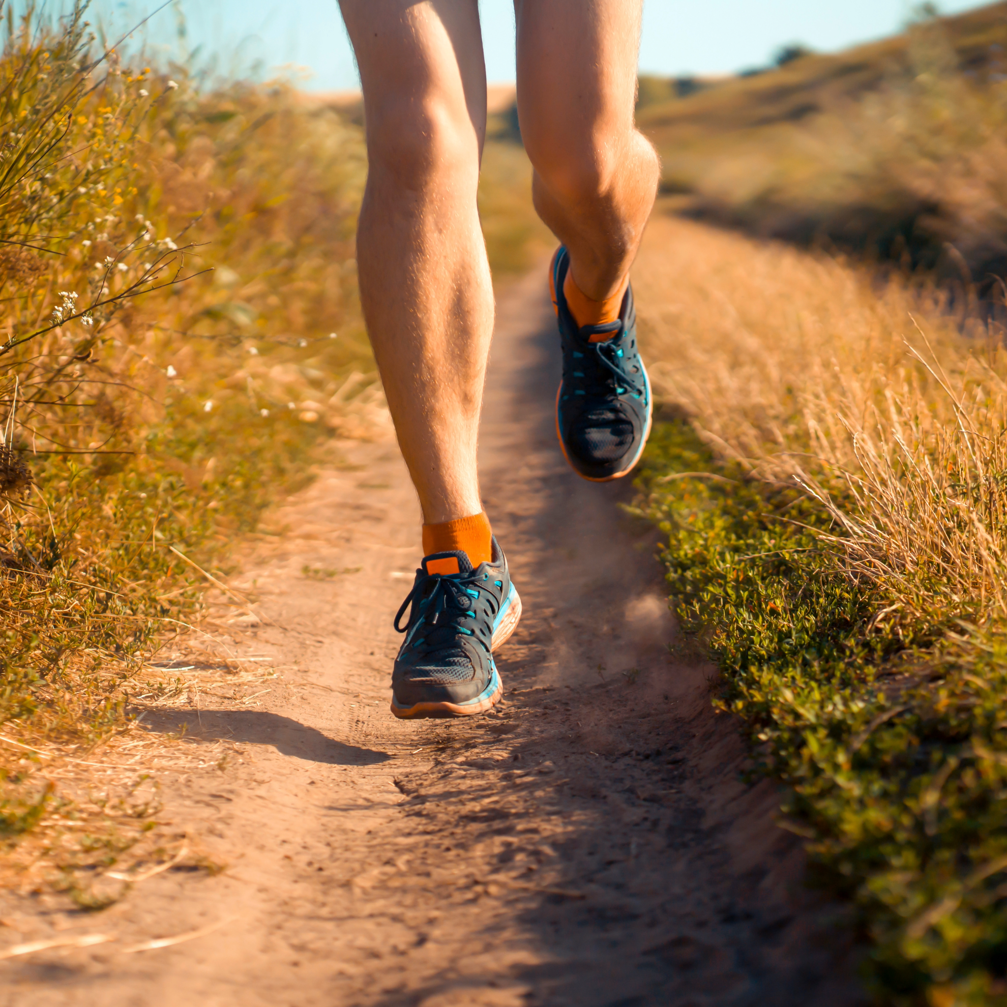 produits bio pour le sport