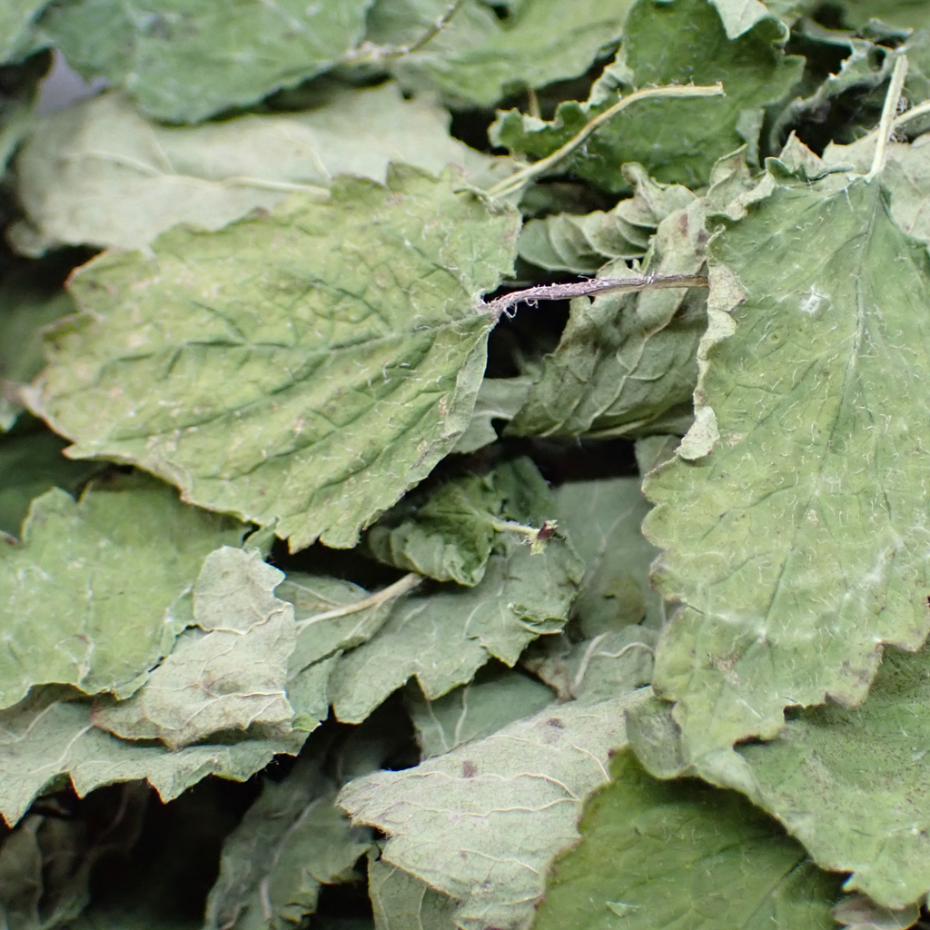 Tisane – Mélisse bio