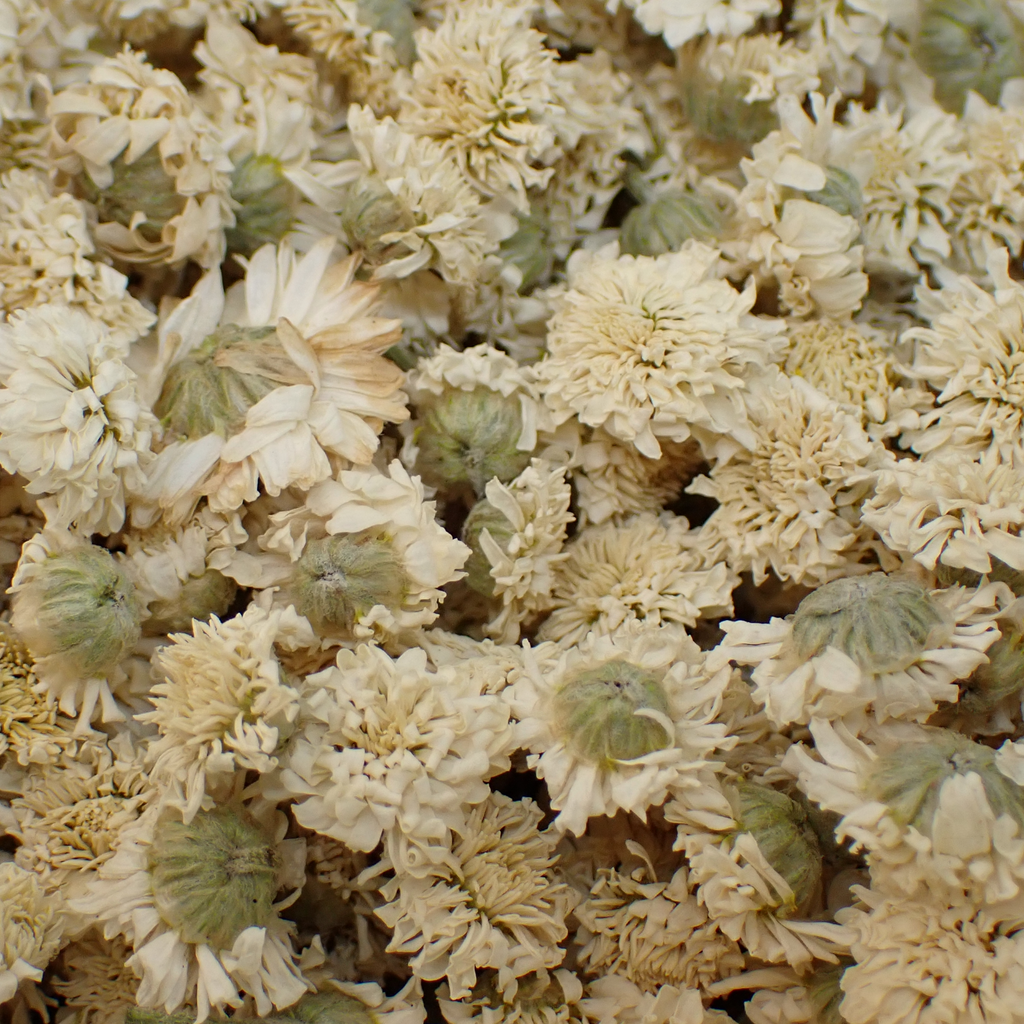 Tisane – Camomille bio