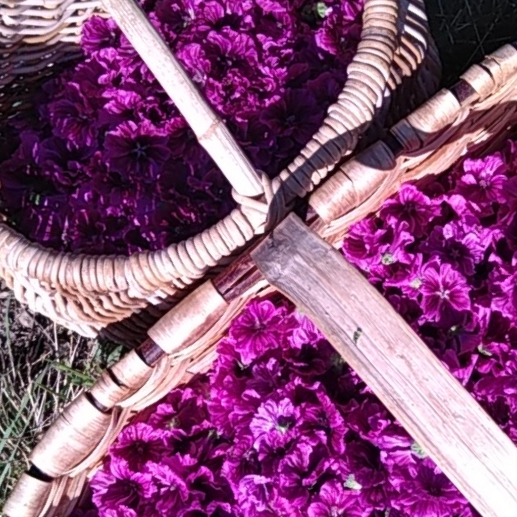 Stick à lèvre réparateur Lavande & Mauve