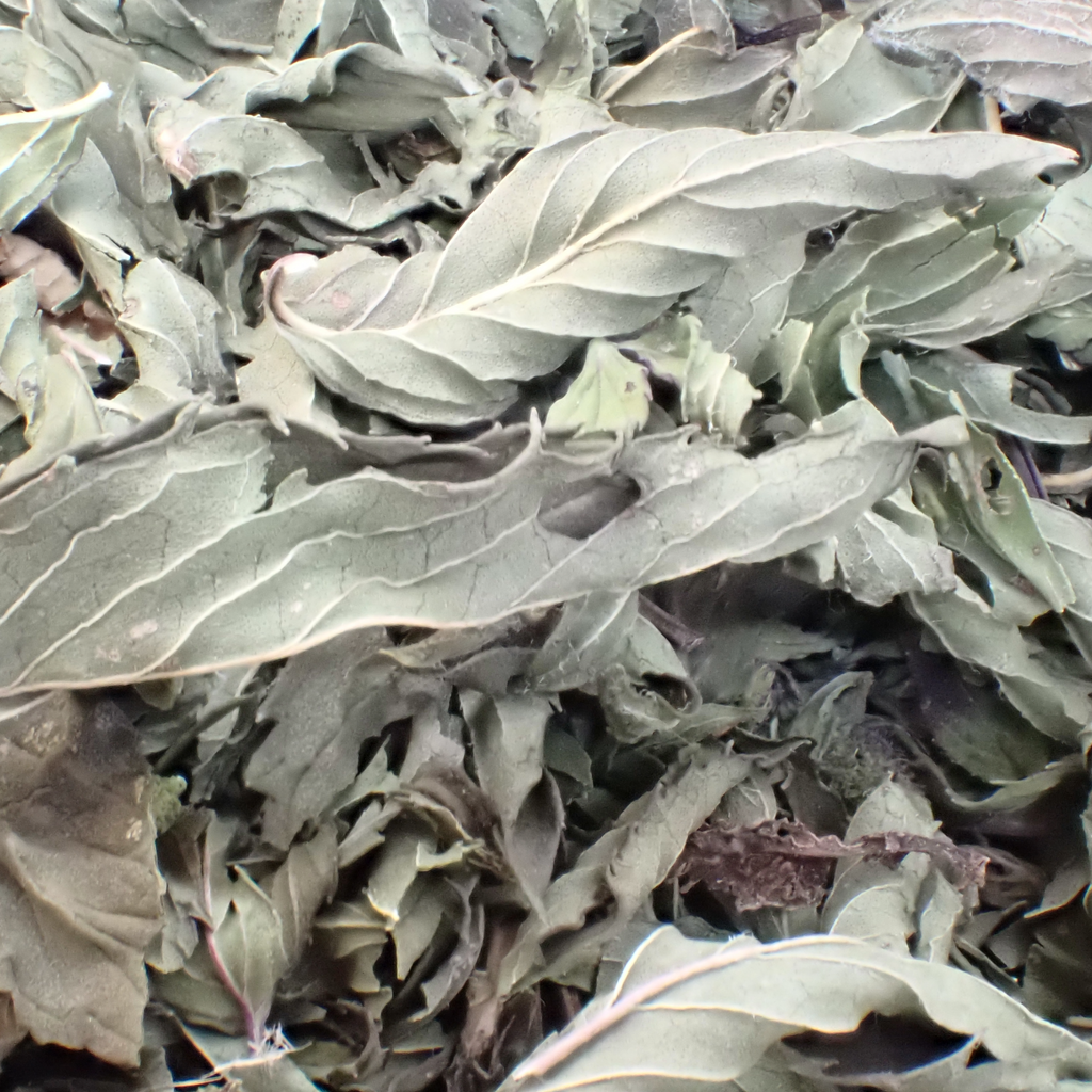 Tisane – Menthe bio