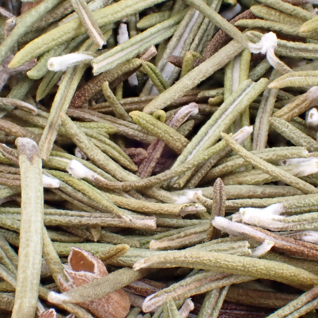 Tisane – Romarin bio