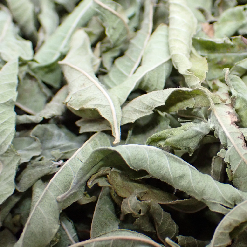 Tisane – Verveine bio