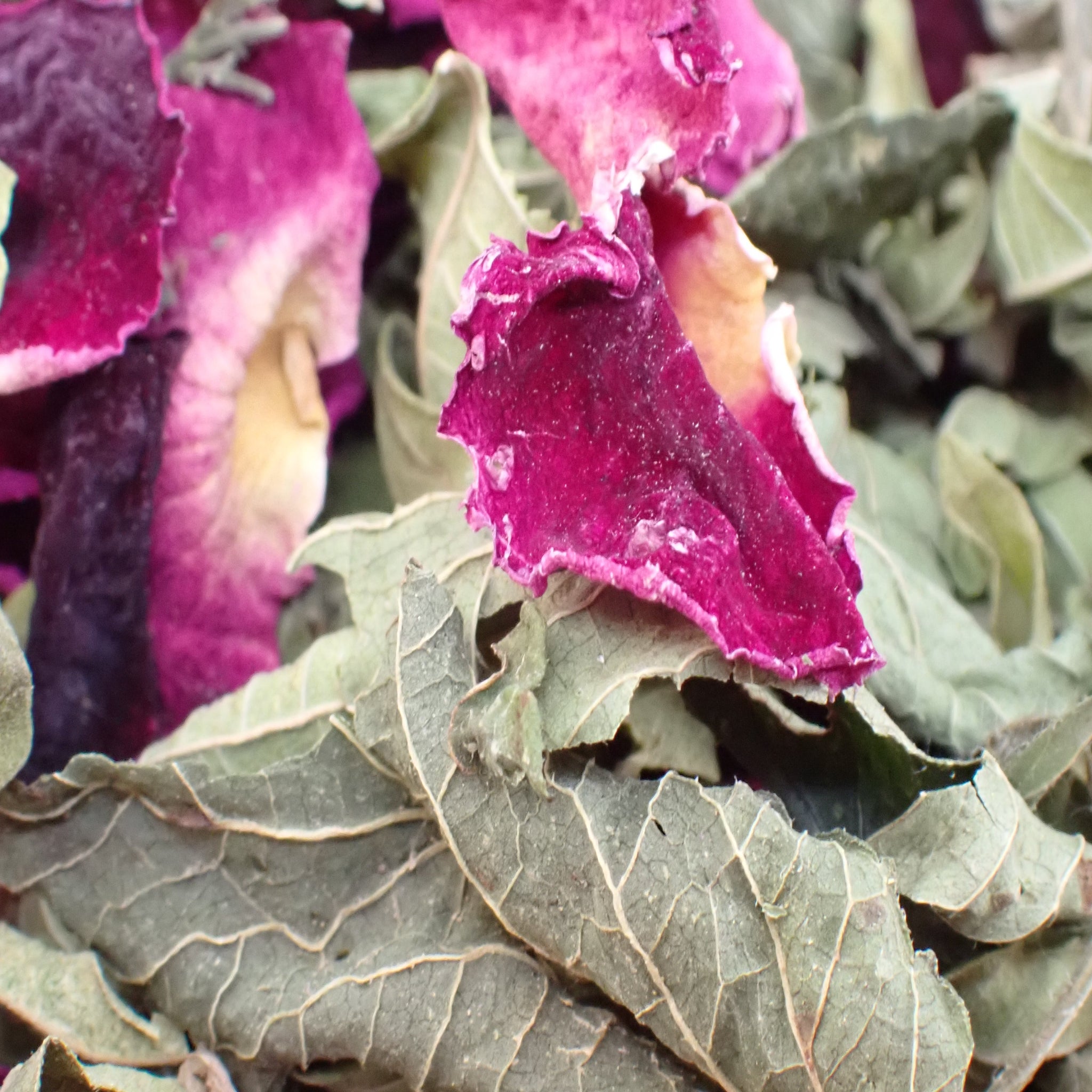 Tisane bio – « Douceur Rose »